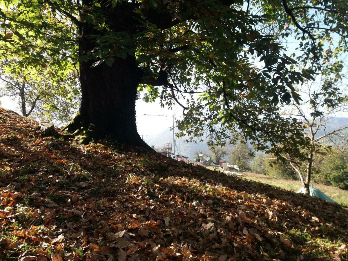 Agriturismo Piane Ono Degno エクステリア 写真